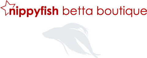 Nippyfish Betta Boutique