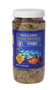 brine shrimp food for betta