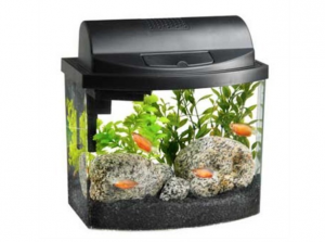 Aqueon Mini Bow 2.5 Gallon Desktop Aquarium Kit