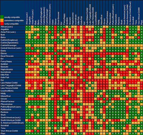 petco fish compatibility chart