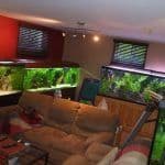 fish room