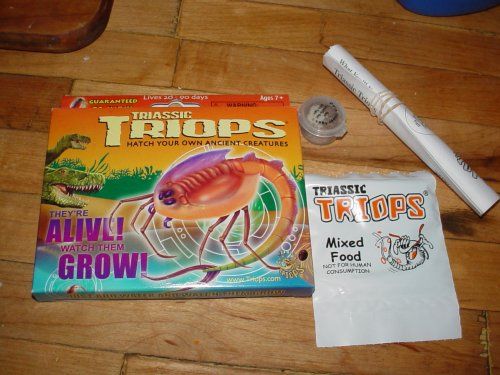  TRIASSIC TRIOPS - Triops Kit, Contains Eggs, Aquarium