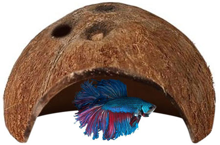 Fish toys shop for bettas