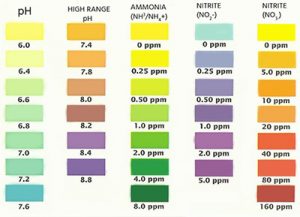 what is the ph level of ammonia solution