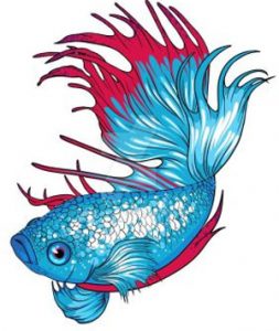 betta-fish-clipart