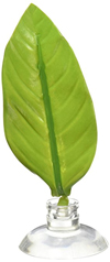 leaf-hammock-for-betta-fish