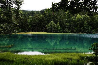 The Natural Environmental Conditions of Wild Marimo 