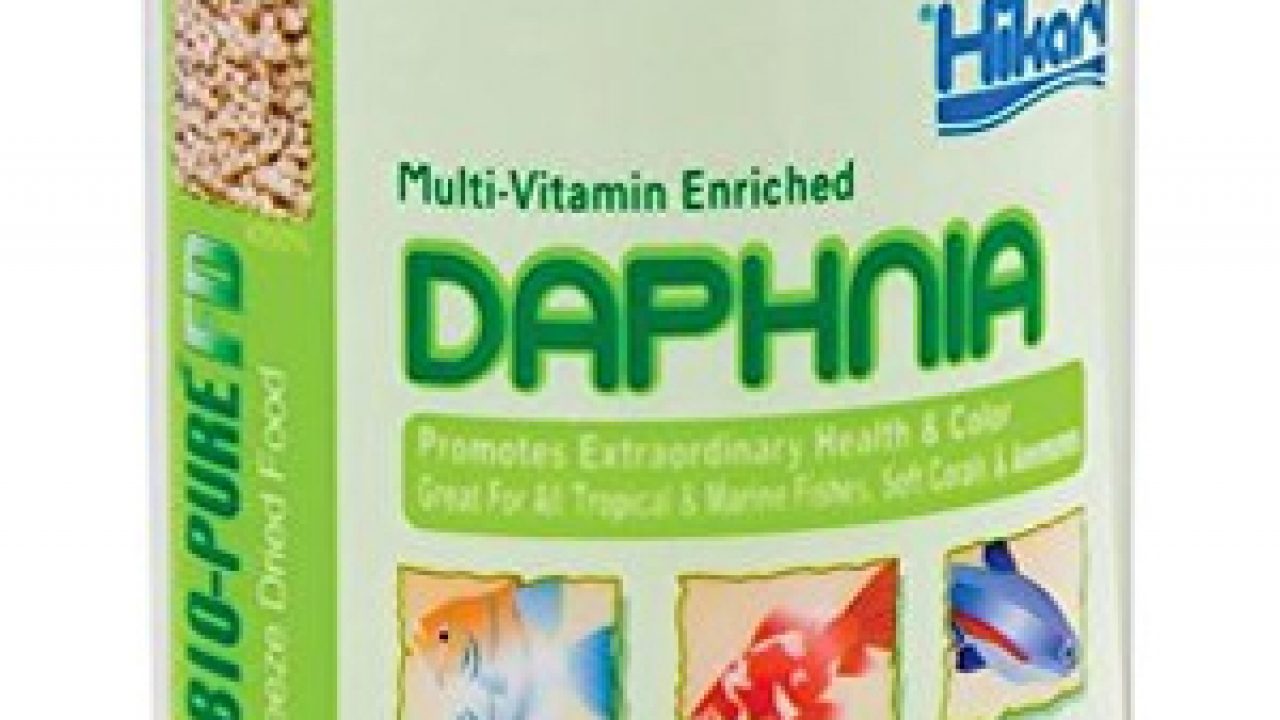 Hikari Bio Pure Freeze Dried Daphnia for Pets Review Fish Care