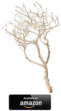 Manzanita-Wood