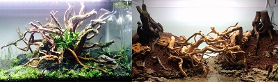 aquarium-spiderwood-decoration