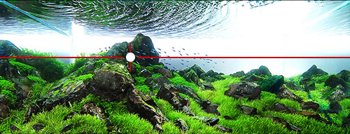 Aquatic Layout Guide- Rules of Composition: The Golden Ratio, Creating  Perspective and Layout Shapes – Aquascape Art – The Green Machine