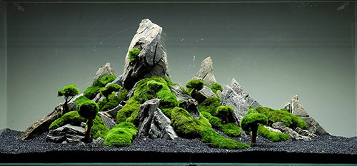 mountain-design- aquascape