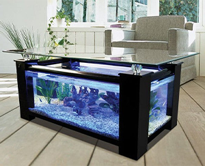 Aquarium Coffee Tables - Fish Care