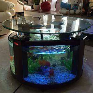 aquarium-coffee-table-image-2
