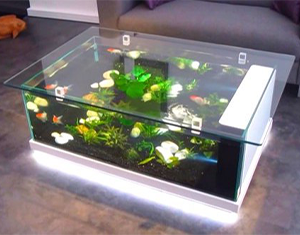 aquarium-coffee-table-image-6