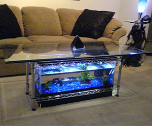 aquarium-coffee-table-shelf-image