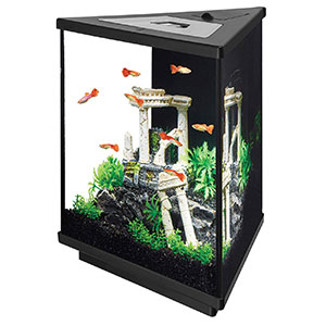 Aqueon-LED-Tri-Scape-Starter-Aquarium-Kit