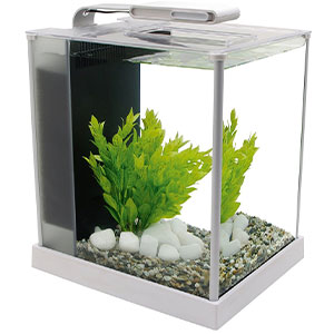 Fluval-Spec-III-Aquarium-Kit