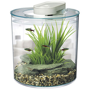 Hagen-Marina-360-Degree-Aquarium-Starter-Kit