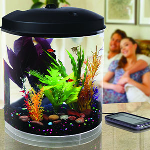 3 gallon fish tanks