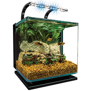 MarineLand-Contour-Glass-Aquarium-Kit-with-Rail-Light