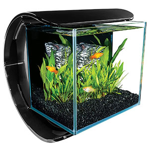 3 Gallon Fish Tank for Betta - Fish Care