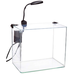 Penn-Plax-Curved-Corner-Glass-Aquarium-Kit