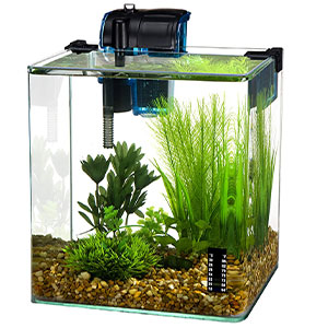 3 Gallon Fish Tank for Betta - Fish Care