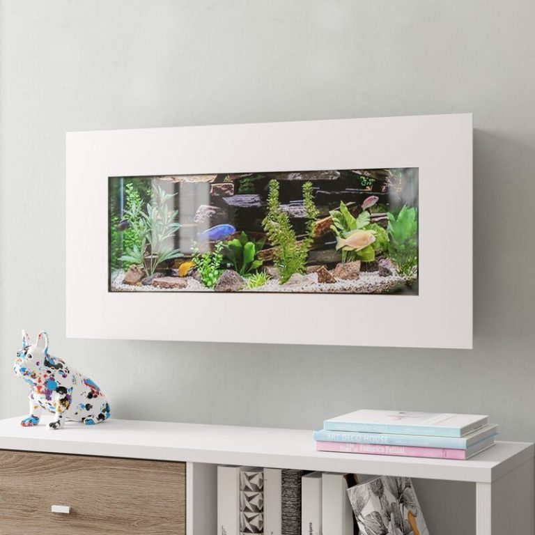 Cool Betta Fish Tank Ideas Fish Care