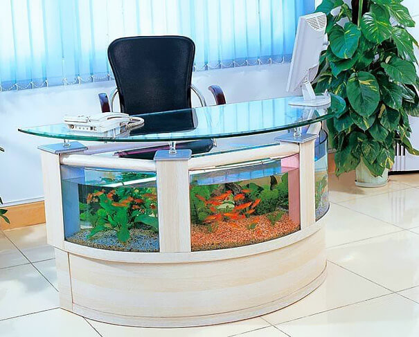 Desk tank for Cool Betta Fish Tank Ideas