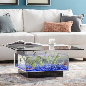 Cool Betta Fish Tank Ideas - Fish Care